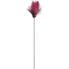 Blütenstamm BELLAGIO 88 cm beere 1 Blüte