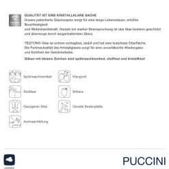 Champagnerschale PUCCINI 350 ml 6er-Set
