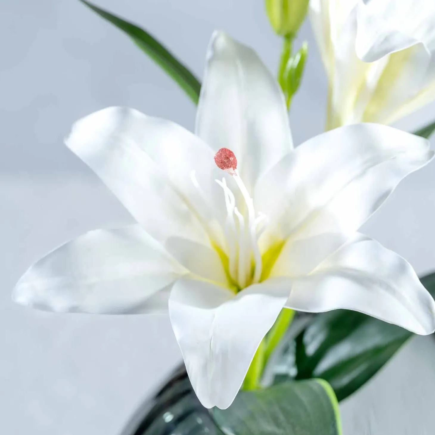 Lilie FIORE 38 cm weiß