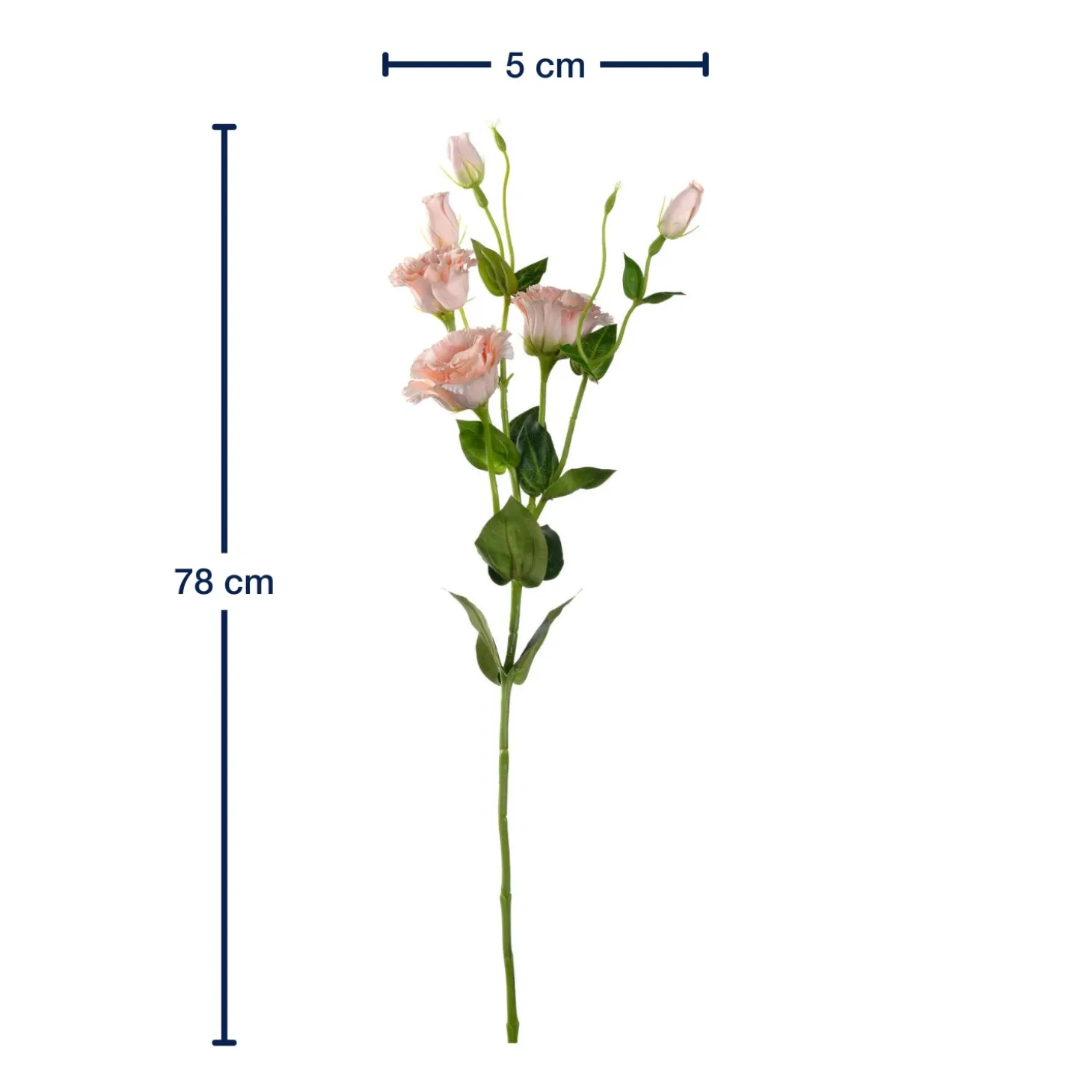 Lysianthus FIORE 78 cm apricot