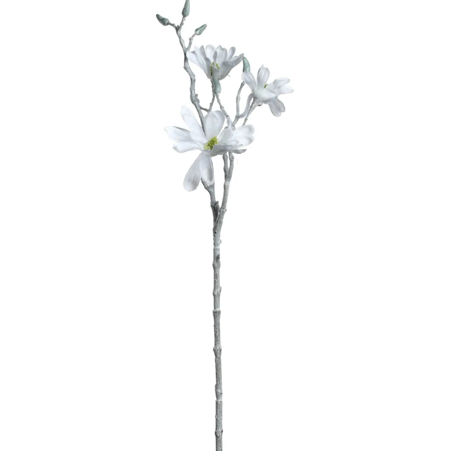 Magnolie 60cm weiß PALAZZO