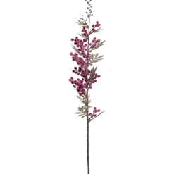 Mimose PALAZZO 70 cm viola