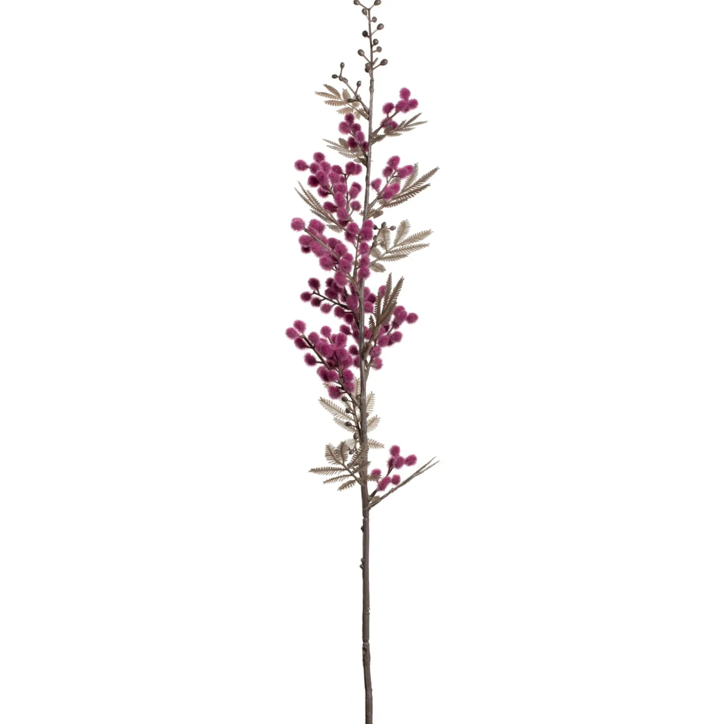 Mimose PALAZZO 70 cm viola