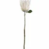 Prothea FIORE 72 cm weiß