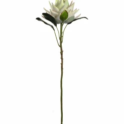 Prothea FIORE 56 cm weiß